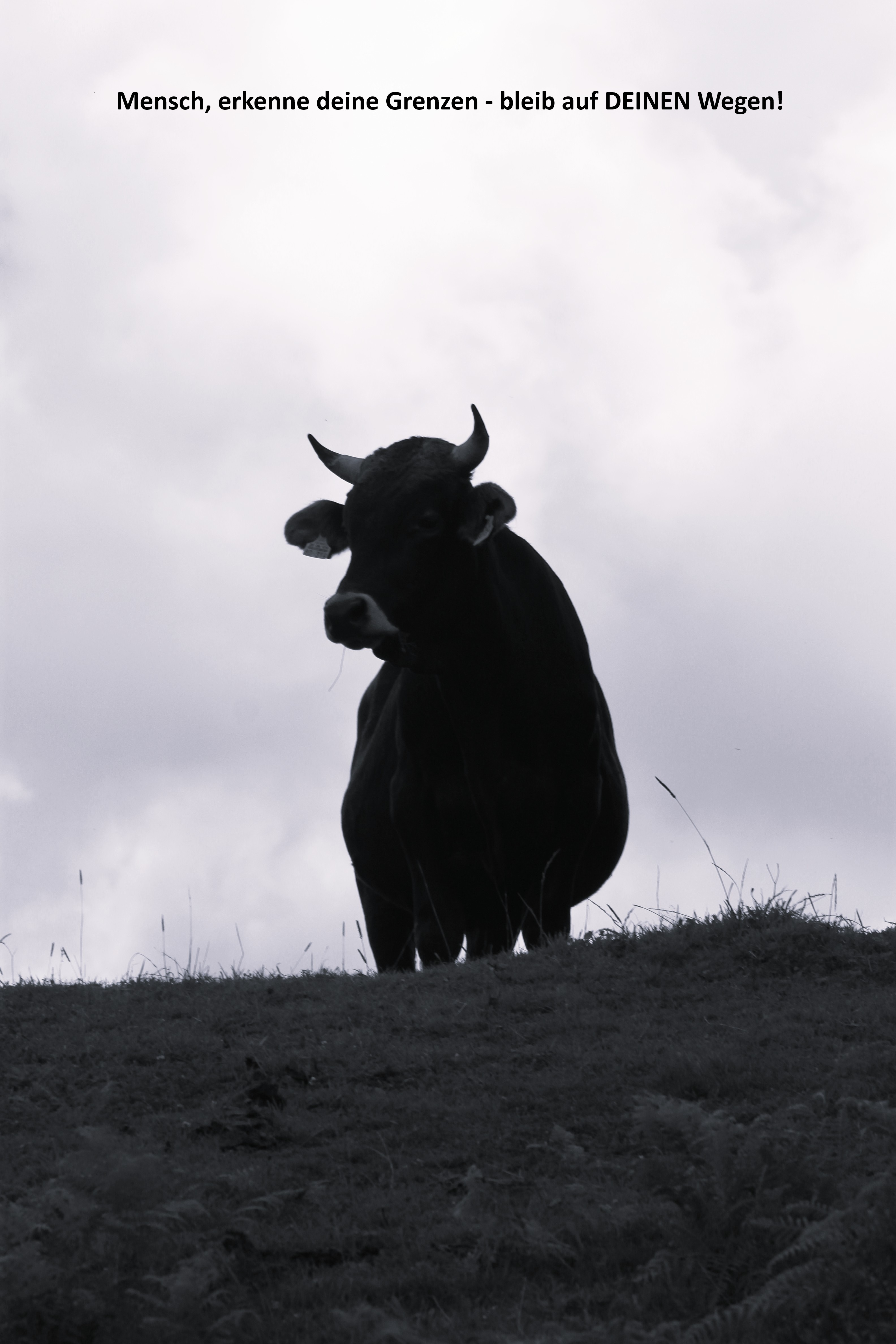 Reisegruppe Allgäu<br>